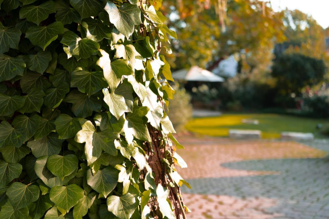 Villa Benz Hotel Garni Schwetzingen Zewnętrze zdjęcie
